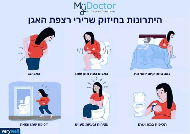 Avantages du renforcement des muscles du plancher pelvien MyDoctor