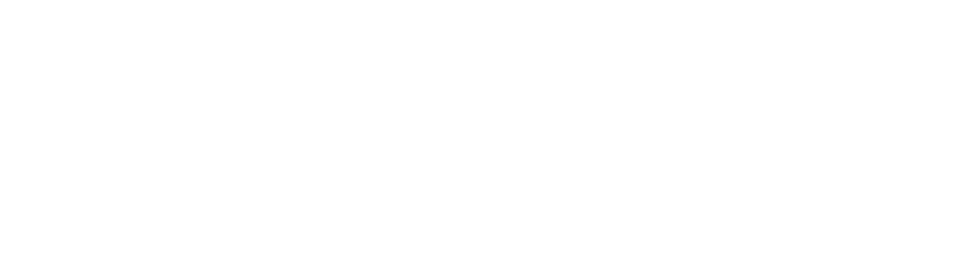 Logo blanc 5