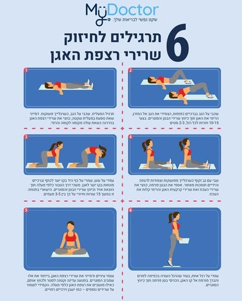Exercices pour renforcer les muscles du plancher pelvien