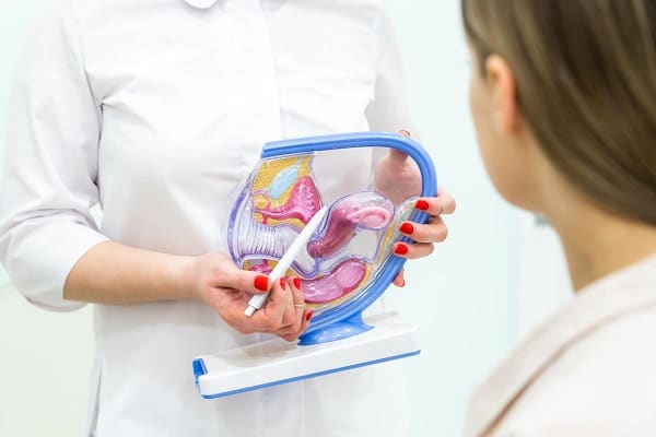 בלוג רפואה 530 38909580 gynecologist doctor consulting patient using uterus anatomy model